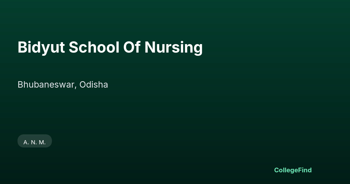 bidyut school of nursing